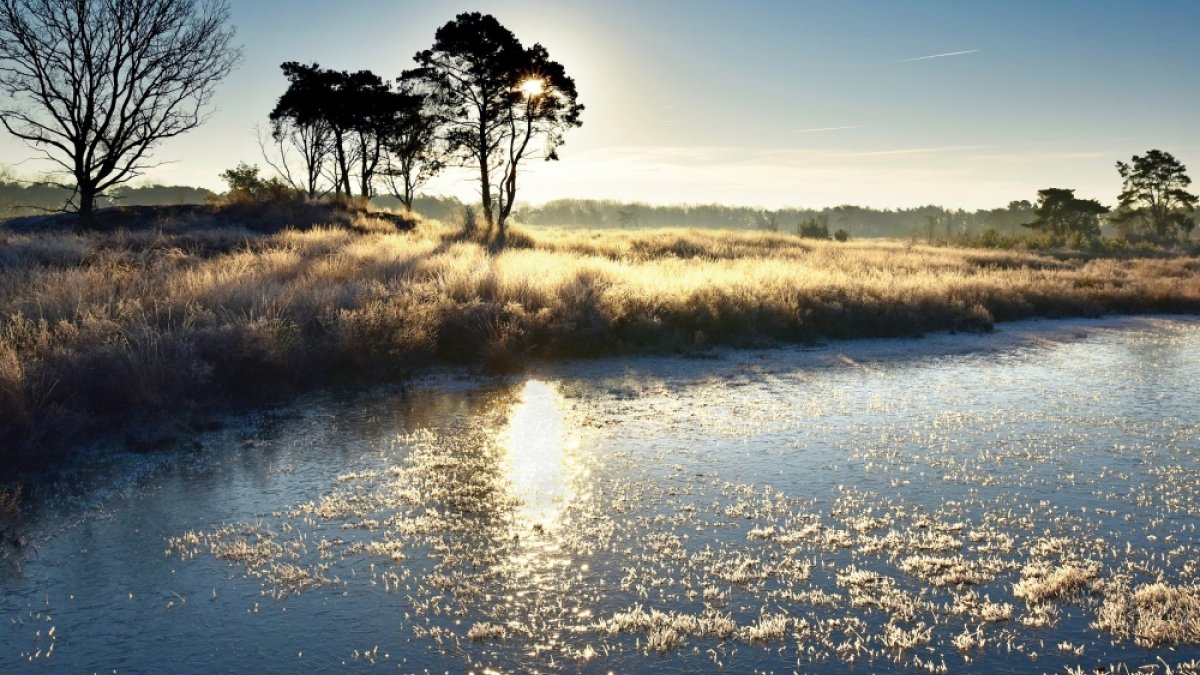 Winnende winterfoto bekend